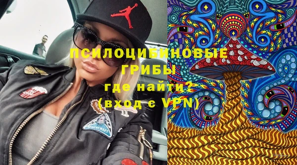 не бодяженный Алзамай