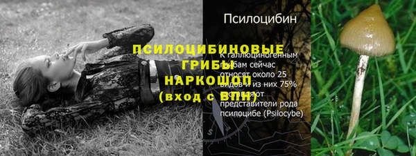 спиды Алексин