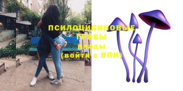 спиды Алексин