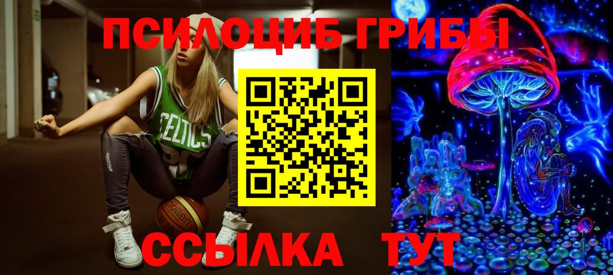 Апшеронск  Галлюциногенные грибы Cubensis  Псилоцибиновые грибы Psilocybine cubensis  Вход с VPN 